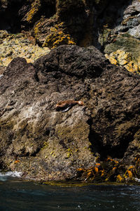 Rock formation in sea