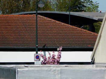 View of a window of a building