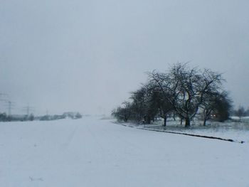 Bare trees on snow covered landscape against clear sky