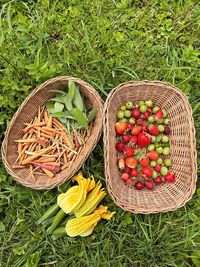 Baskets with harvest from the garden, summer fruit and vegetable harvest, zucchini flowers, fruit 