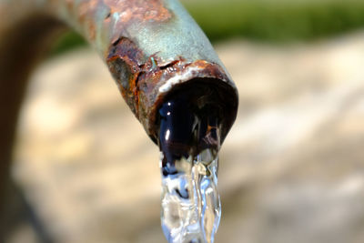 Close-up of water drop of pipe