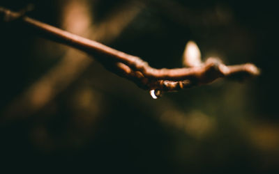Close-up of water at night