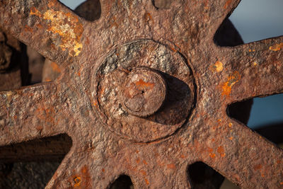Close-up of rusty tree trunk
