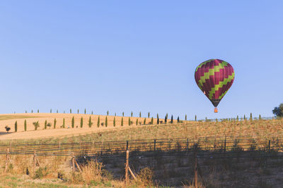 Hot air balloons flying over field against clear blue sky