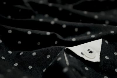 Close up of plant against blurred background