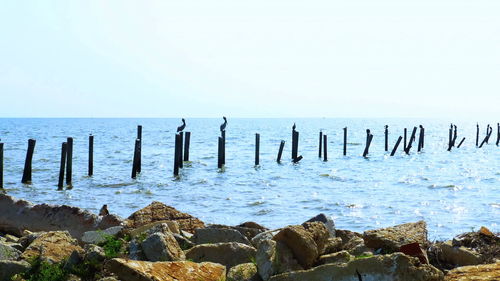 Scenic view of sea against clear sky