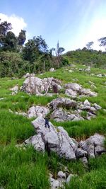 Scenic view of landscape against sky