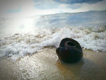 Close-up of sea waves on beach