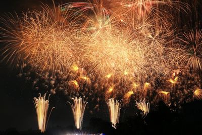 Low angle view of firework display at night