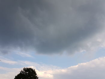 Low angle view of tree against cloudy sky