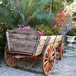View of potted plants in yard