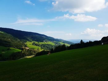 Scenic view of green landscape against sky