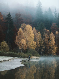 Man standing by lake in forest against sky