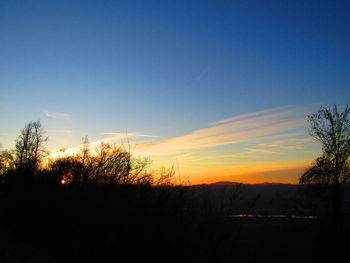 Silhouette trees on field against sky during sunset
