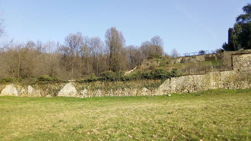 Trees on grass against sky