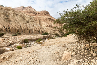 wadi