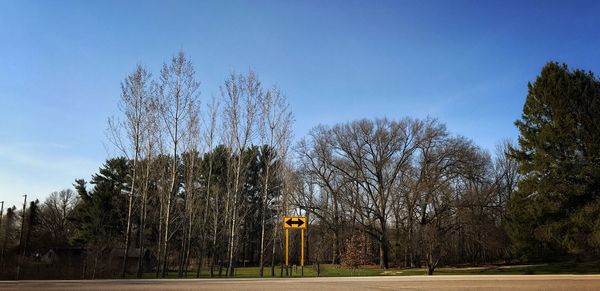 Low angle view of trees against sky