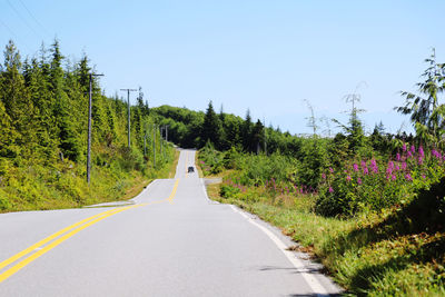 Road amidst trees against clear sky