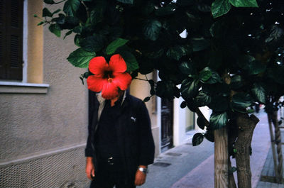 Rear view of man standing by red flowering plant