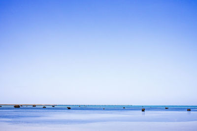 Scenic view of sea against clear blue sky