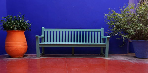 Potted plant against blue wall