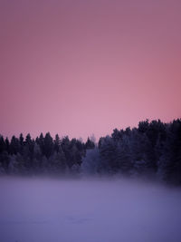 dawn