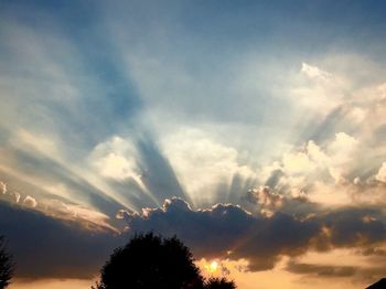 Silhouette of trees against cloudy sky