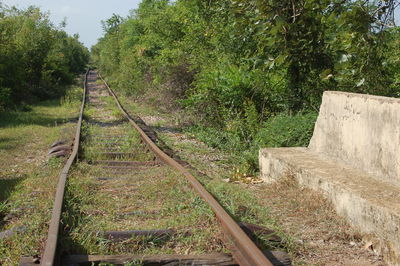 Railroad track in forest