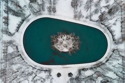 High angle view of animal in winter