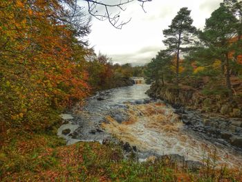 Scenic view of waterfall in forest during autumn