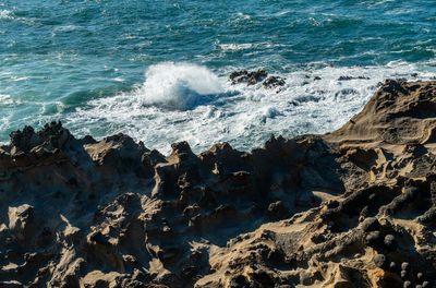 Aerial view of beach