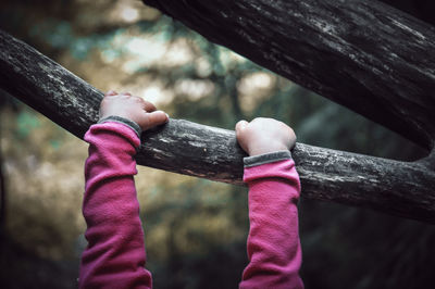 Close-up of hand holding pink leaf on tree