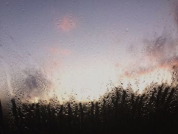 Close-up of water drops on glass window