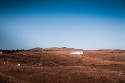 Scenic view of field against clear blue sky