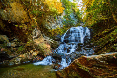 Scenic view of waterfall in forest