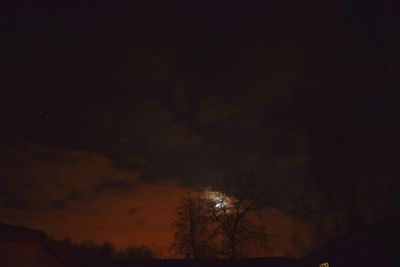 Silhouette trees against sky at night