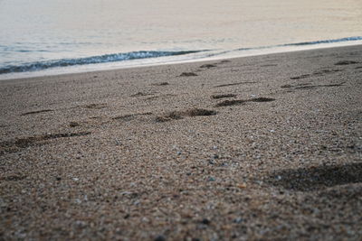 Footprints on sand at beach