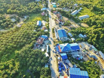 High angle view of trees and buildings in city