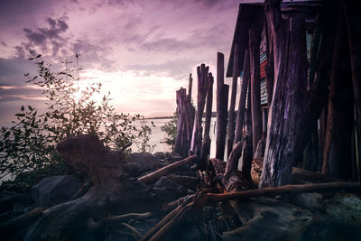 Driftwood on beach against sky during sunset