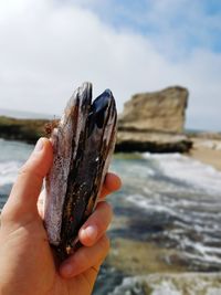 Close-up of hand holding sand on beach