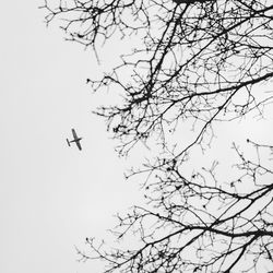 Low angle view of bare trees against sky