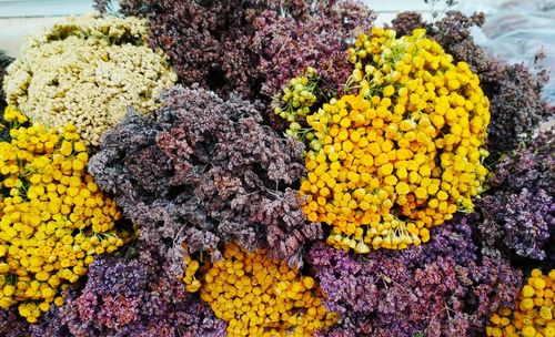 Close-up of yellow flowers in market