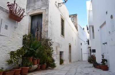 Alley amidst buildings