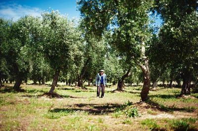 Man walking on field in forest