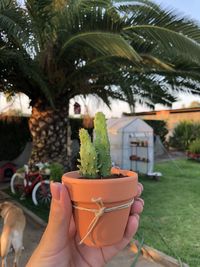 Midsection of person holding ice cream outdoors