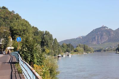 Scenic view of river by trees against clear sky