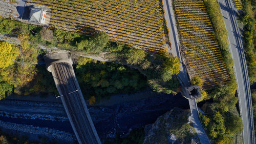High angle view of bridge amidst trees in city