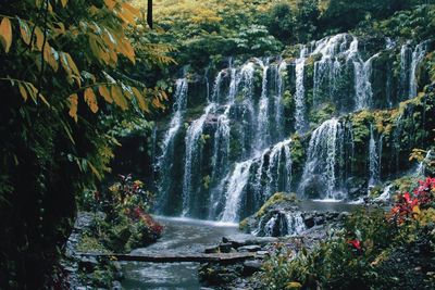 Scenic view of waterfall in forest of wanagiri hill located in north bali.