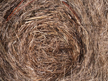 Full frame shot of hay bales in field