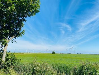 Scenic view of field against blue sky